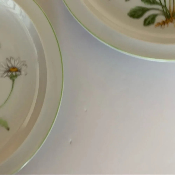 Royal Domino Collection Japan Wild Daisy‎ Plates 2 - Picture 5 of 10